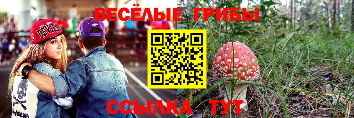 цены   Псилоцибиновые грибы Psilocybe  Вход с VPN  Рузаевка 