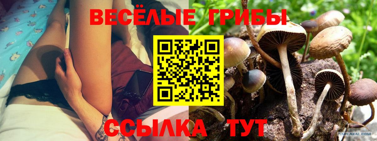 Псилоцибиновые грибы мухоморы Рузаевка